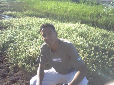 abdo