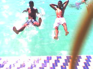 stoon
